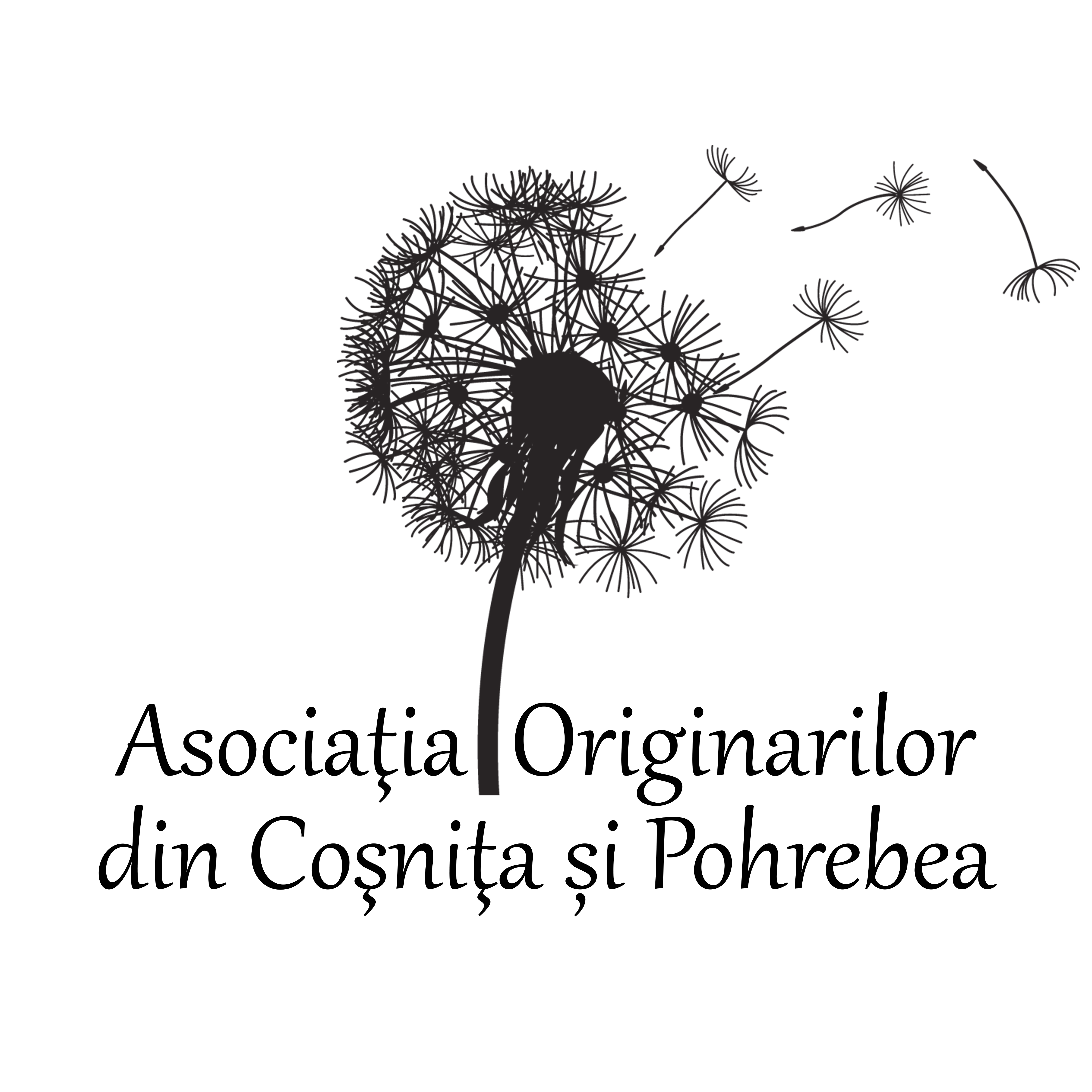 Consultări publice privind proiectul planului de activitate al asociației pentru anul 2025