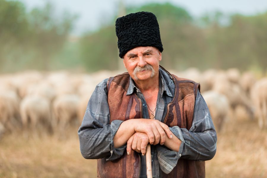 Membri producători