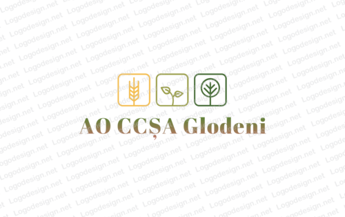 AO CCȘA Glodeni